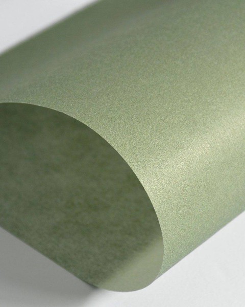 Hattan Palette | 34 Seaweed